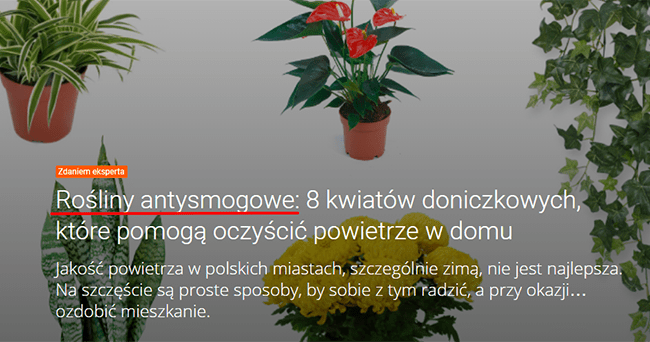 Nagłówek tekstu eksperckiego (?) w internecie. Strona allegro.pl
