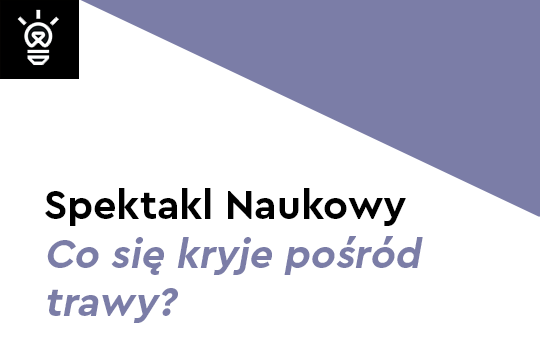 Spektakl naukowy