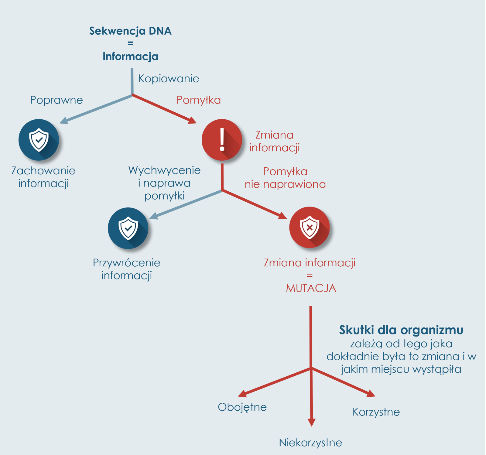 infografika DNA