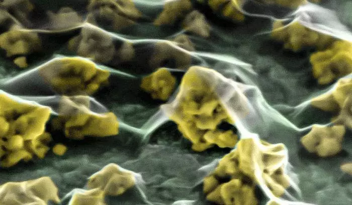 Nanocząstki złota
