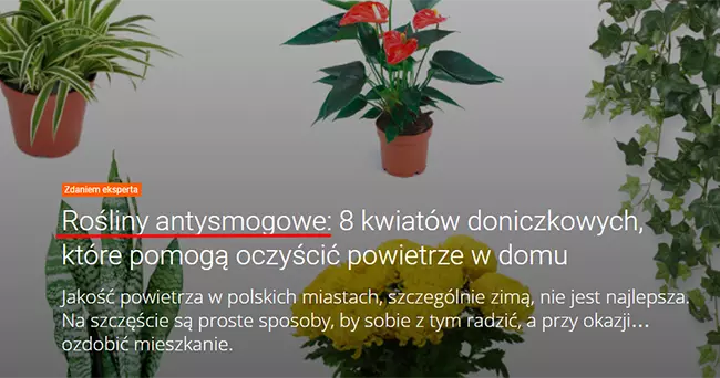 Nagłówek tekstu eksperckiego (?) w internecie. Strona allegro.pl Nagłówek tekstu eksperckiego (?) w internecie. Strona allegro.pl