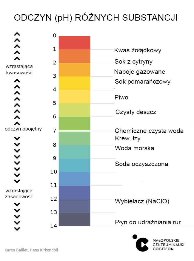 Odczyn (pH) popularnych produktów i związków