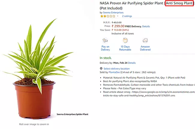Reklama zielistki (spider plant) jako rośliny antysmogowej. Zrzut ekranu z indyjskiej wersji portalu Amazon. Reklama zielistki